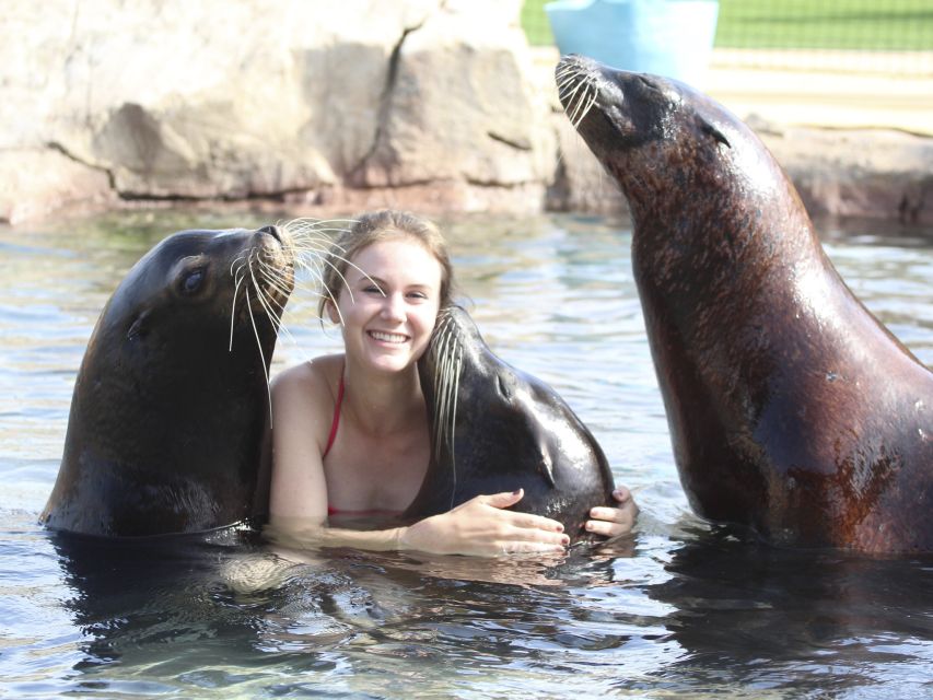 Benidorm: Aqua Natura Amusement Park 1-Day Entry Ticket - Value check: is a $24 ticket really a good deal?