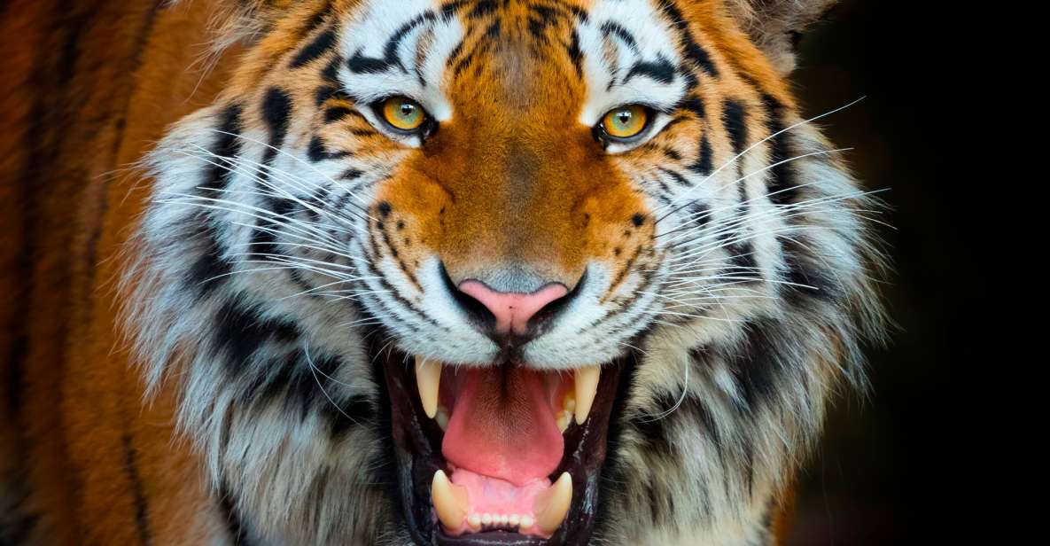 Benidorm: Terra Natura Theme Park 1-Day Tickets - Key things to know before you go