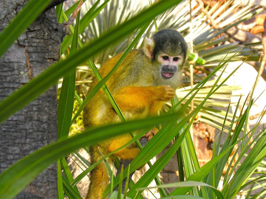Benidorm: Terra Natura Theme Park 1-Day Tickets - Terra Natura’s habitat design: animals feel close, not staged