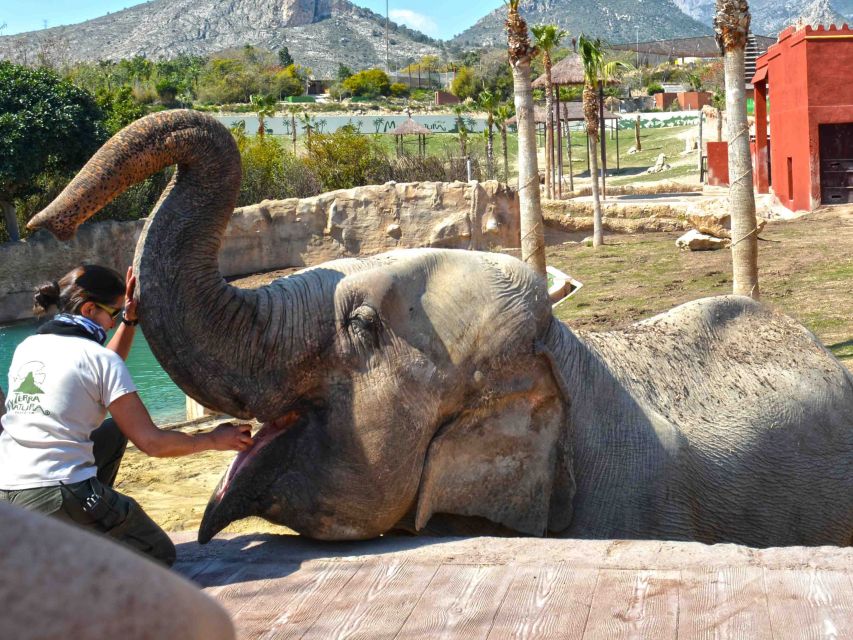 Benidorm: Terra Natura Theme Park 1-Day Tickets - The birds of prey show: plan your timing around it