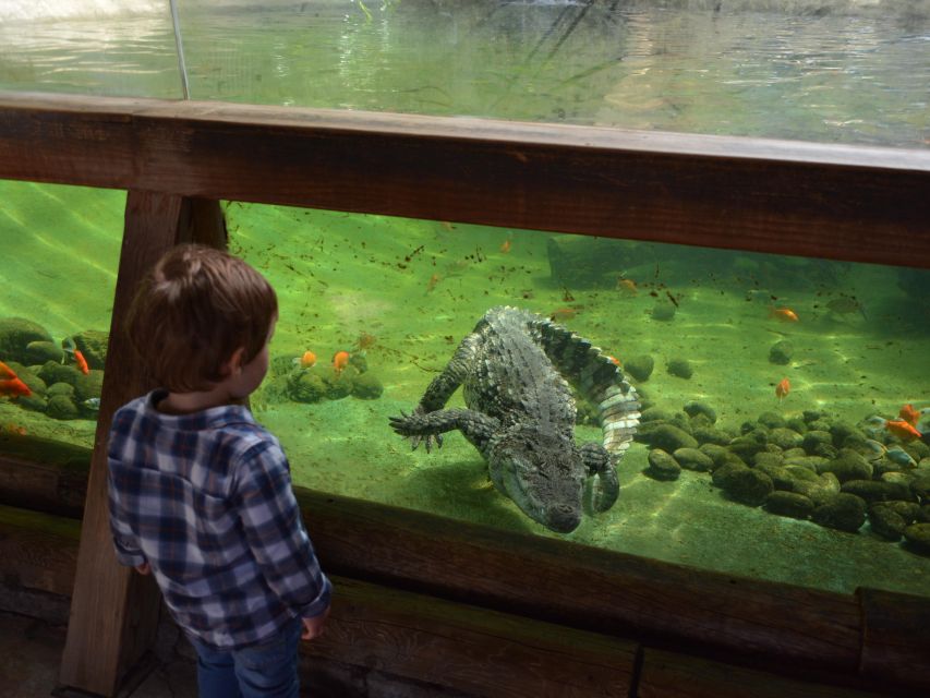 Benidorm: Terra Natura Theme Park 1-Day Tickets - Shows, adventure areas, and family pacing that actually works