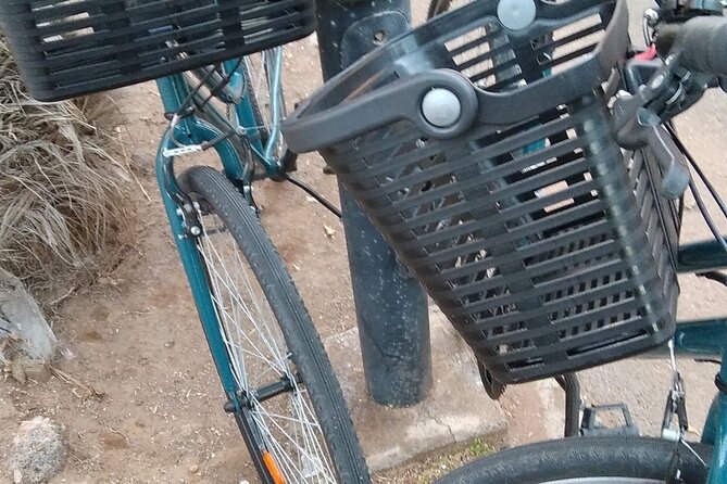 Bike Rental Tenerife - Who This Bike Rental Fits Best