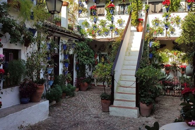 Bike Tour Córdoba - Morning vs afternoon timing, and why weather matters
