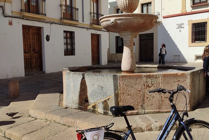 Bike Tour Córdoba - How the bike setup works (including e-bikes and kids)