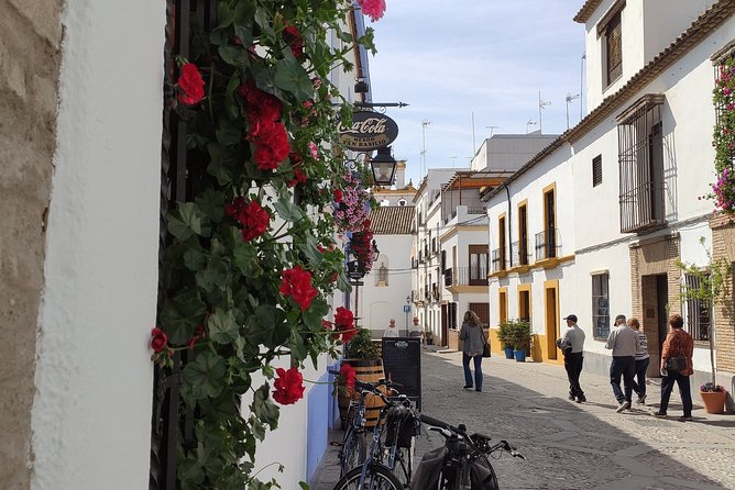 Bike Tour Córdoba - San Basilio patios quarter: courtyard culture on two wheels