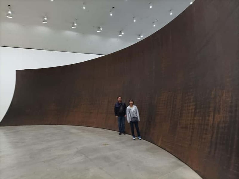 Bilbao: Guggenheim VIP Experience. Small Group. Expert Guide - Is 89 dollars a good value for Bilbao’s Guggenheim?