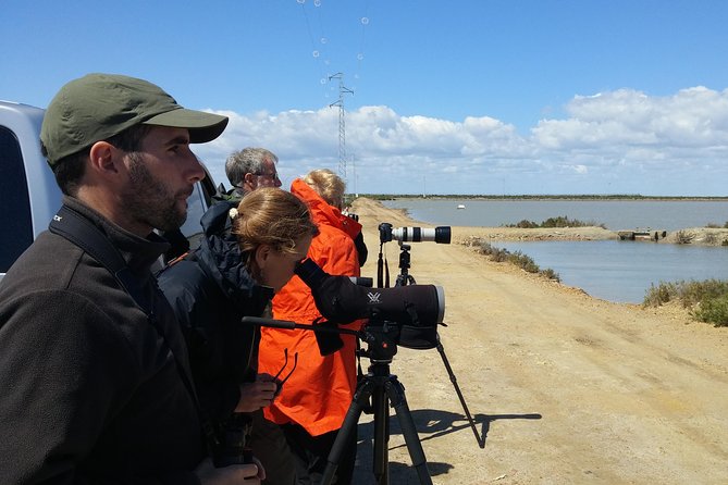 Birding & Photography Day Trip to Doñana from Seville - Why Doñana birding feels different from casual birding