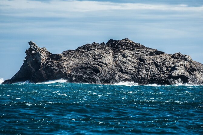 Boat through Cap de Creus and Port Lligat visit Cadaqués 1H30 - Tips to make the most of your 4 hours in the water and on land