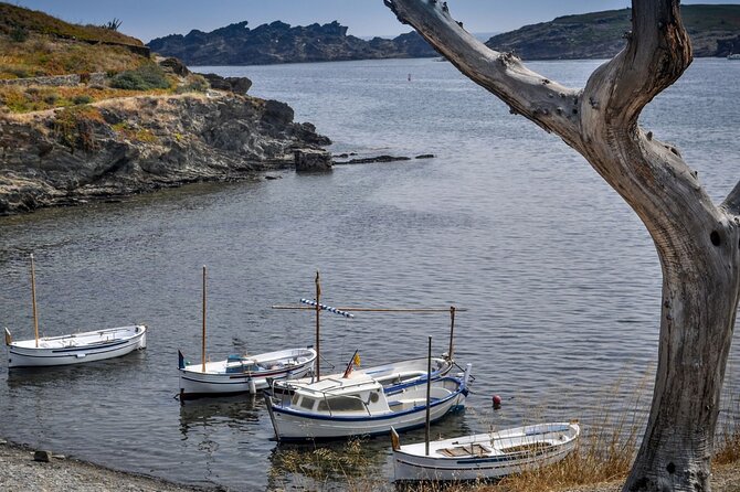 Boat through Cap de Creus and Port Lligat visit Cadaqués 1H30 - Who should book this boat tour?