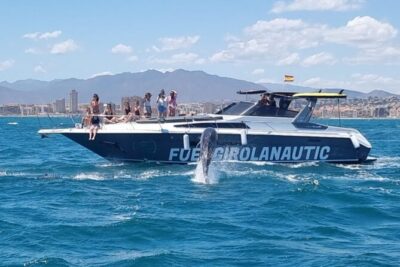 Boat Trip in Fuengirola, Dolphin Watching and Drinks - 15-meter yacht ride: comfort, views, and how you’ll use the space