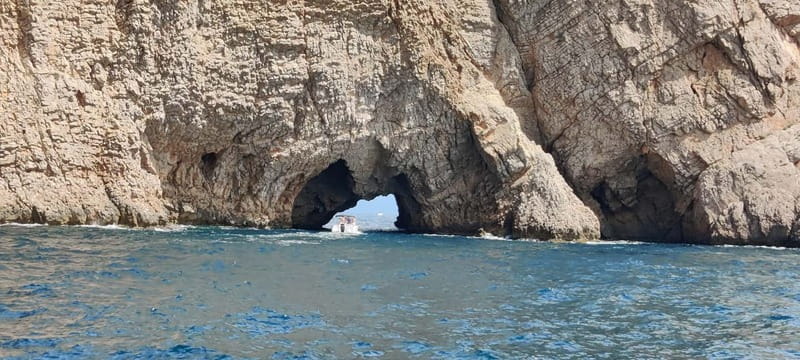 Boat trip to the Medes Islands, caves and stop for swimming - Medes Islands guided tour: understanding what you’re seeing