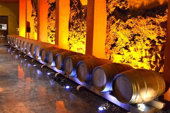 Bodegas Monje Winery Ticket w/Wine Tasting & Mojo Sauce Workshop - Timing and logistics: when to go and how to choose the right language