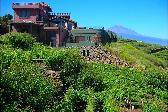 Bodegas Monje Winery Ticket w/Wine Tasting & Mojo Sauce Workshop - Value check: is $55.51 a fair deal for wine, food, and a cooking class?