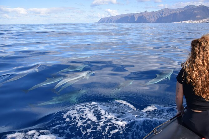 Bonadea II Ecological Whale Watching, 2 hours - The eco approach: respectful distance, quiet engine moments, and cleanup