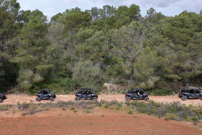Buggy 2-seater and 4-seater Off-On Road Tour in Mallorca - Getting started in Palma: briefing, countryside, and the Randa stop