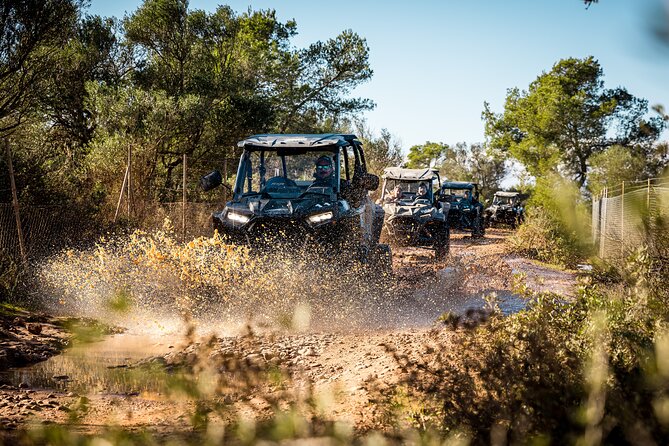 Buggy 2-seater and 4-seater Off-On Road Tour in Mallorca - Who should book: ages, driving requirements, and comfort reality