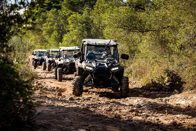 Buggy 2-seater and 4-seater Off-On Road Tour in Mallorca - Price and value: what you pay for, and what to budget for