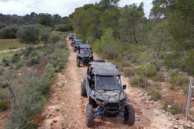 Buggy 2-seater and 4-seater Off-On Road Tour in Mallorca - Guides and the vibe: why it feels friendly, not just transactional