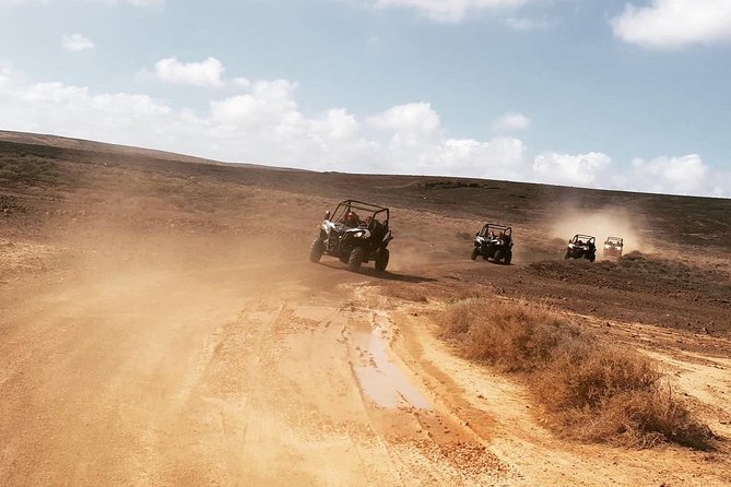 Buggy 3h Guided tour of the north of Lanzarote - Key Things You’ll Remember From This Buggy Tour