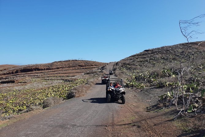 Buggy 3h Guided tour of the north of Lanzarote - Route Highlights: Tinamala Volcano, Guatiza, and the Old Quarry Stop
