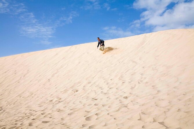 Buggy Fuerteventura Off-Road Excursions - Key Highlights You’ll Feel Immediately