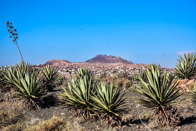 Buggy Fuerteventura Off-Road Excursions - Driving Your Automatic Buggy: License Rules and Real Expectations