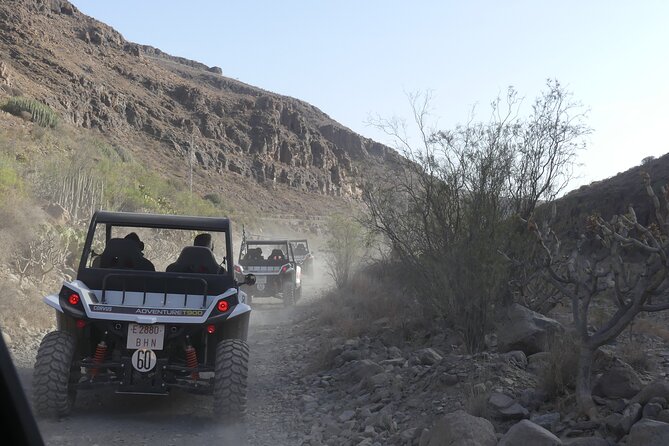 Buggy Tour Gran Canaria - Reservoir descent through palms, bamboo, and prickly pears