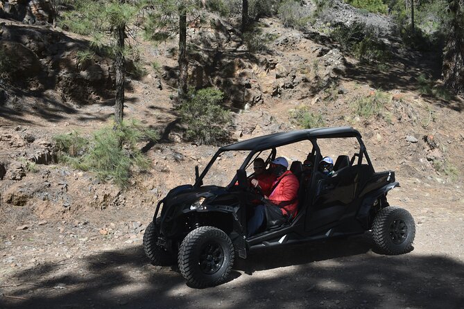 Buggy tour to Teide in Tenerife - The start: beautiful views around Tenerife