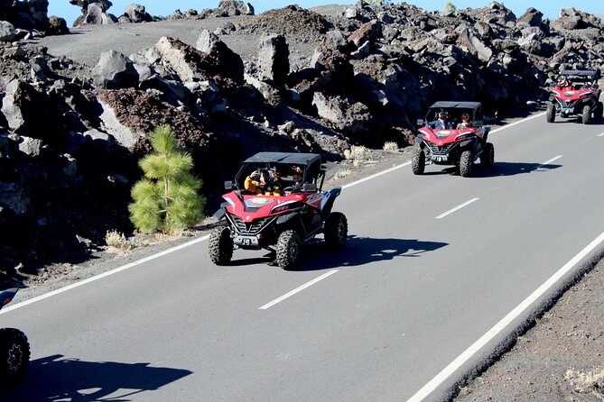 Buggy tour to Teide in Tenerife - Teide National Park: your main wow moment (and the cold reality)