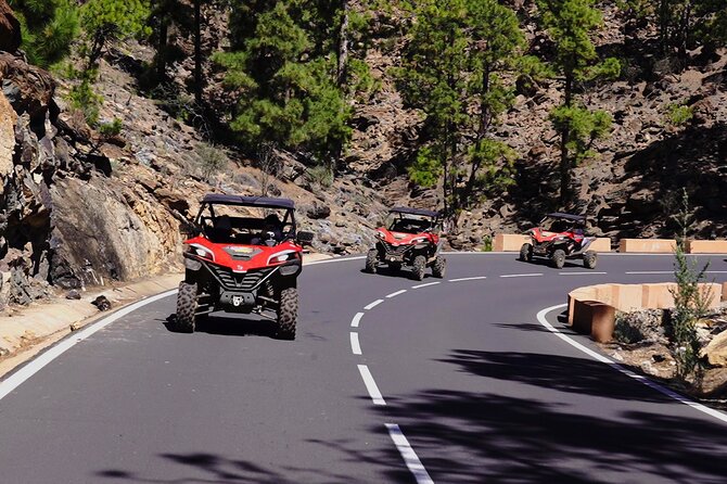Buggy tour to Teide in Tenerife - Price and value: is $235.32 per group a good deal?