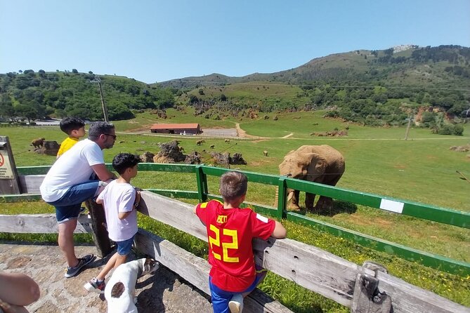 Cabarceno Natural Park Guided Visit from Santander - Sea lions and bird-raptor demonstrations: the best use of your time