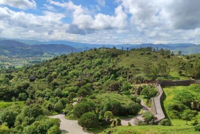 Cabarceno Natural Park Guided Visit from Santander - The 4.5-hour minivan format: how to get the most with less walking