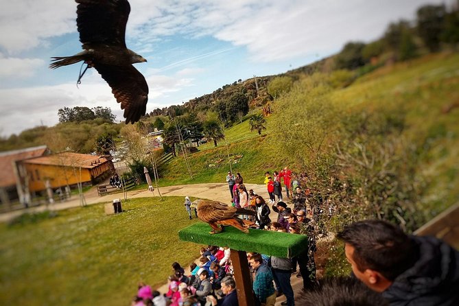 Cabarceno Natural Park Guided Visit from Santander - Tickets included, food not: budget tips so you’re not caught short