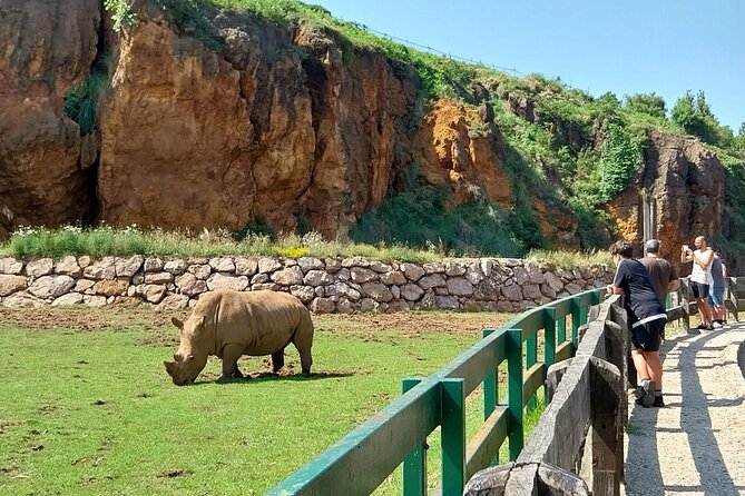 Cabarceno Natural Park Guided Visit from Santander - Weather and comfort: what to prepare for on the day