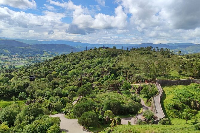 Cabarceno Natural Park Guided Visit from Santander - The 4.5-hour minivan format: how to get the most with less walking