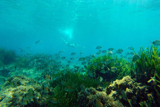 Cabo de Gata Active. Guided kayak and snorkel route through coves of the Natural Park - The route in Parque Natural del Cabo de Gata y Níjar: what you’ll actually see