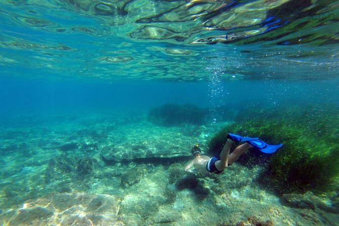 Cabo de Gata Active. Guided kayak and snorkel route through coves of the Natural Park - Should you book this Cabo de Gata Active kayak and snorkel route?