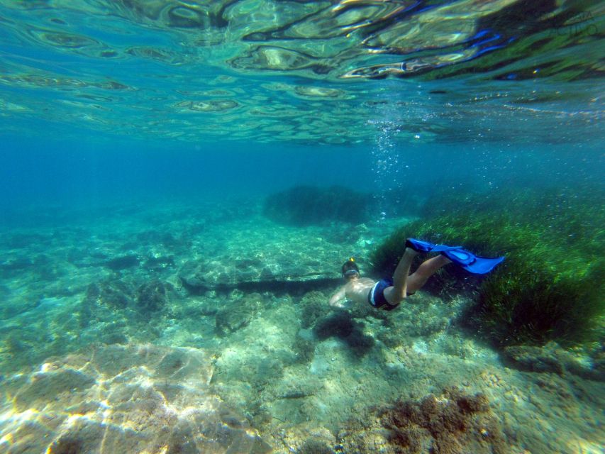 Cabo de Gata: Natural Park Kayaking and Snorkel Excursion - Key things I’d circle before you book