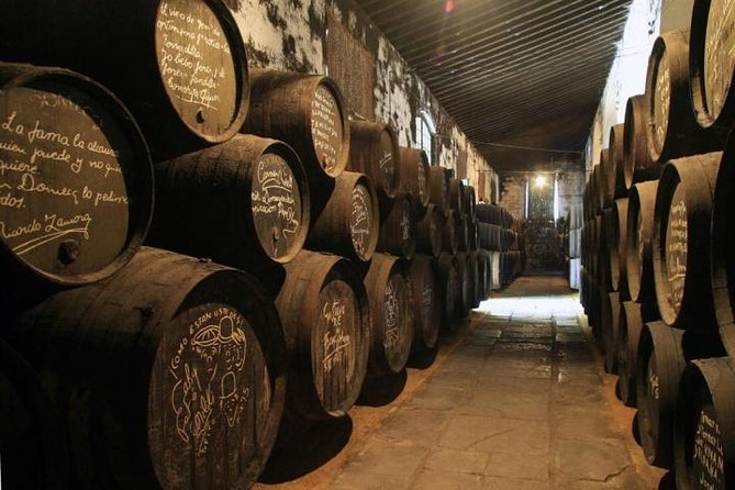 Cadiz and Jerez Day Trip from Seville - Price and value: what $119.48 buys you