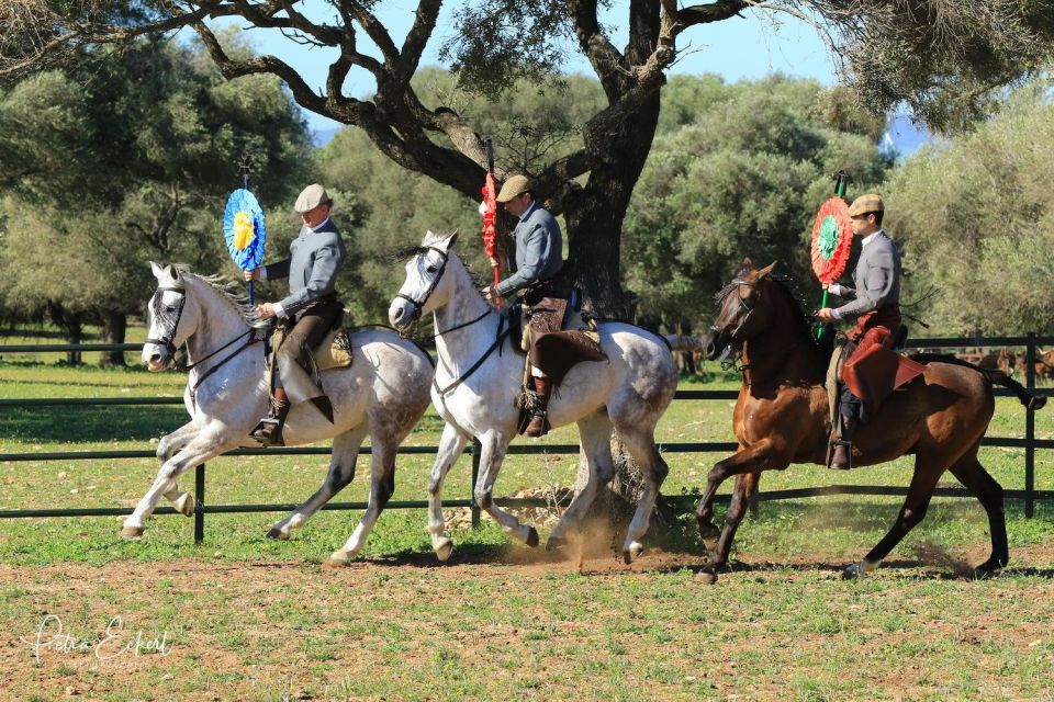 Cadiz: Andalusian Horses and Bulls Country Show - Price and value: what $41 gets you (and what it doesn’t)