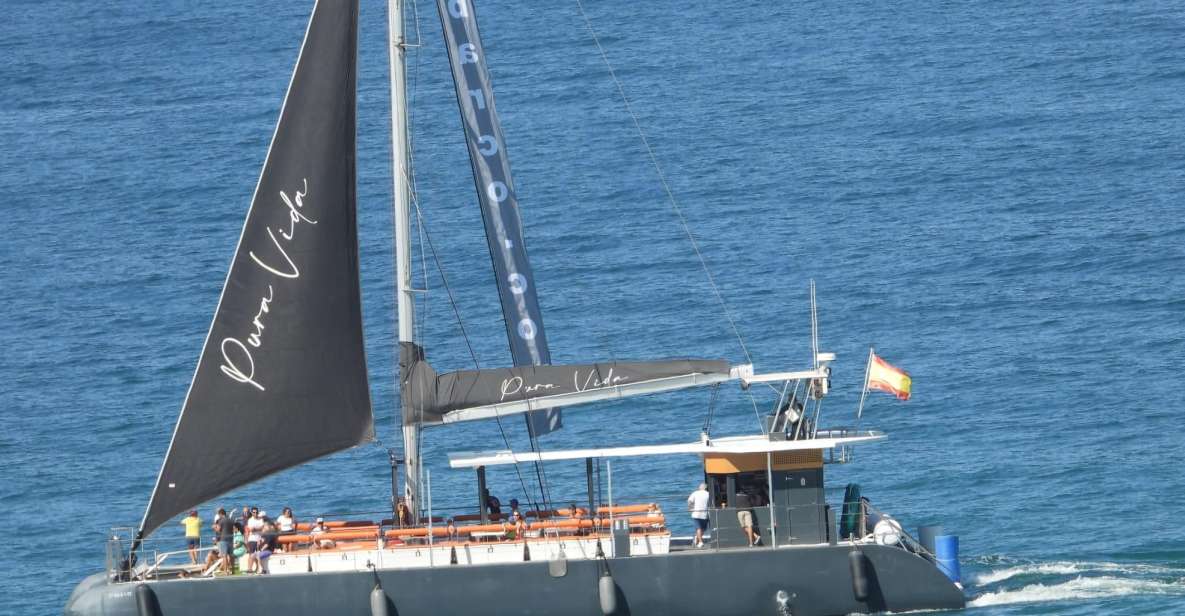 Cádiz: Bay of Cádiz Catamaran Tour with Host - Quick reasons to go