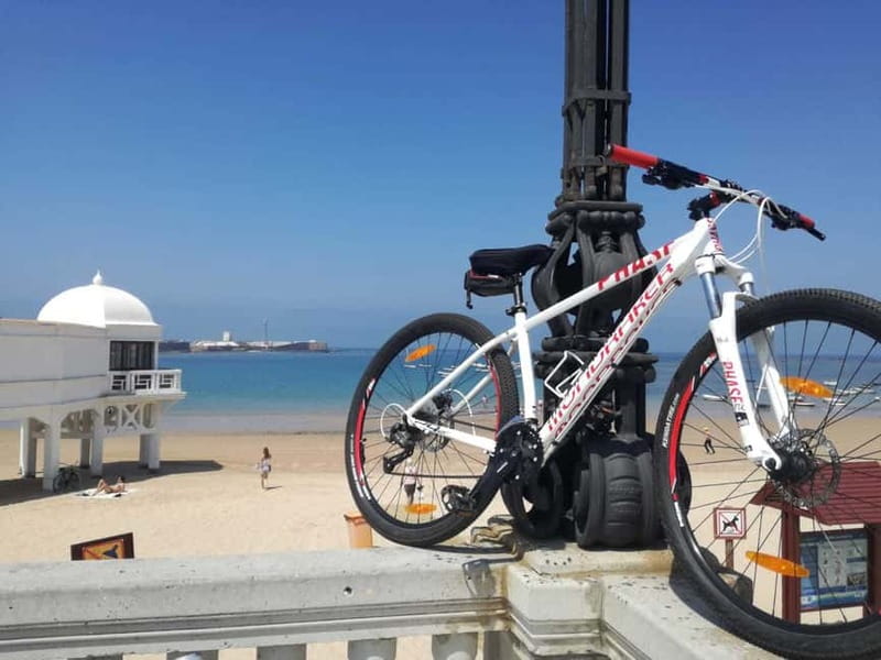 Cádiz: Guided Bike Tour - Key highlights you’ll actually feel