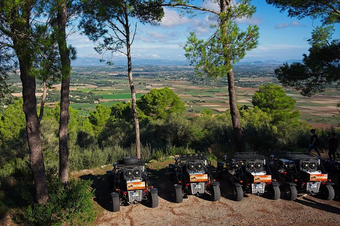 "Cala Millor & Sa Coma: TOP Buggy Tours – your mega experience!" - Manual Gearboxes: Fun for Some, a Consideration for Others