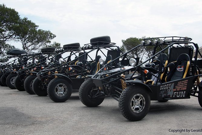 "Cala Millor & Sa Coma: TOP Buggy Tours – your mega experience!" - Guides and Group Size: Why It Feels Easy (When It Works)