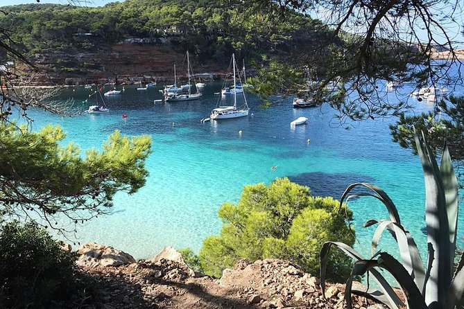 Cala Salada and Unspoiled North Beach Tour. Snorkelling and Aquarium - Cala Gracio and the “hippy spot” pass-by: scenery without the effort
