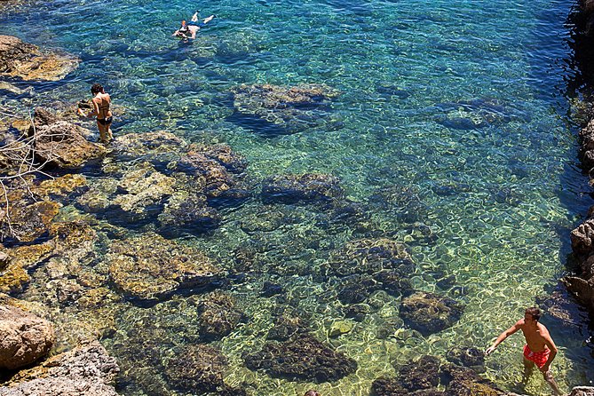 Cala Salada and Unspoiled North Beach Tour. Snorkelling and Aquarium - Timing, crowds, and the practical stuff that makes or breaks the day