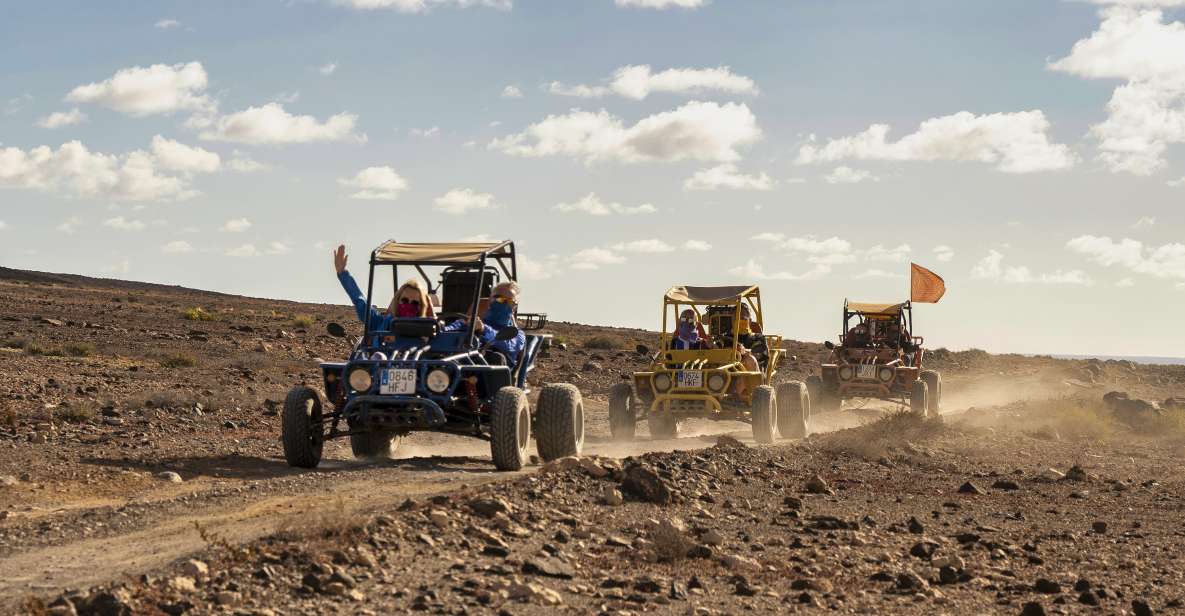 Caleta De Fuste: Guided Buggy Explorer Tour - Cheese farm stop: production, animals, tasting, and real purchasing options