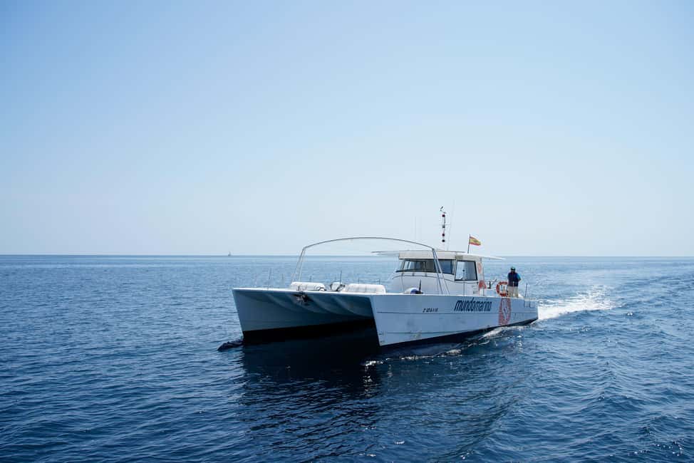 Calpe: Motor catamaran with a swim stop and optional lunch - Cruise the Calpe coastline from sea level