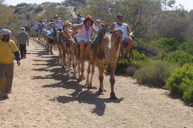 Camel Riding in Maspalomas Dunes - Timing and waiting: the biggest make-or-break factor