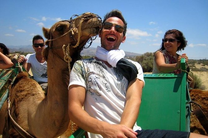 Camel riding in the dunes of Maspalomas - Key Highlights Worth Your Time